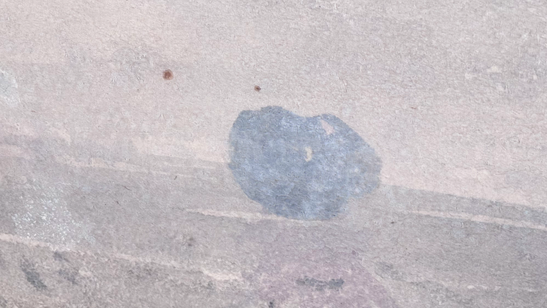 Untitled photograph